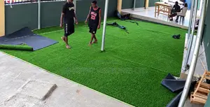 20mm Artificial Highest Grade Carpet Grass for Sale in Awka