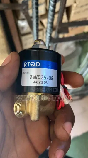 Original 220v Solenoid Valve