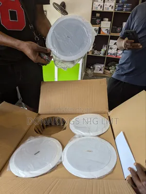 Ceiling Speaker
