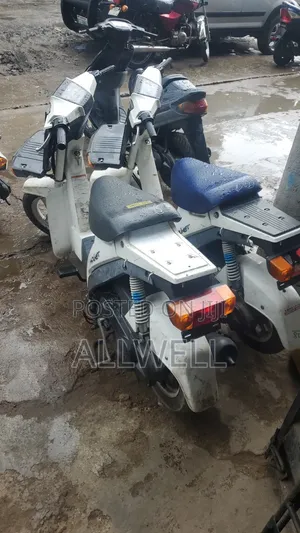 Suzuki 2023