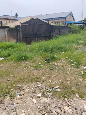Conner Piece Land at Amuwo Odofin
