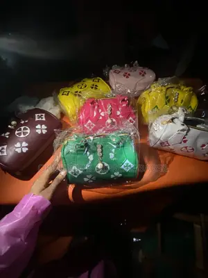 Trendy Cute Fancy Handbags and Hair for Ladies