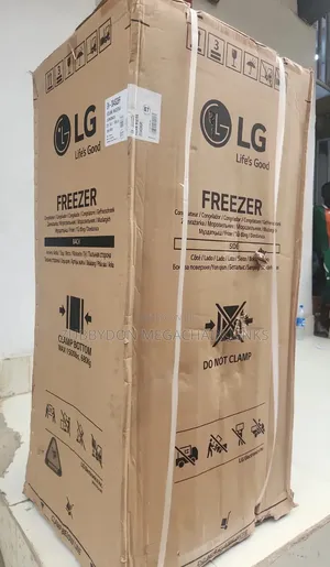 LG Upright Freezer