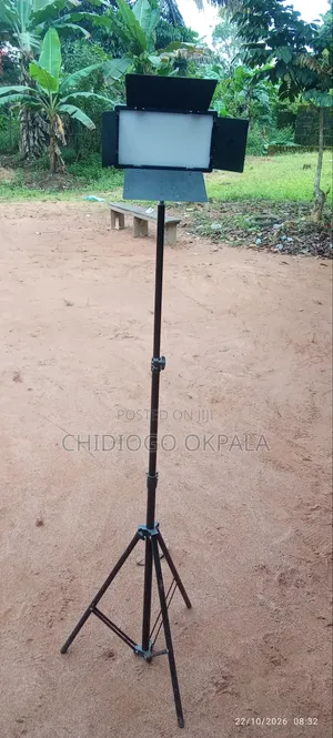 Standing LED Lights