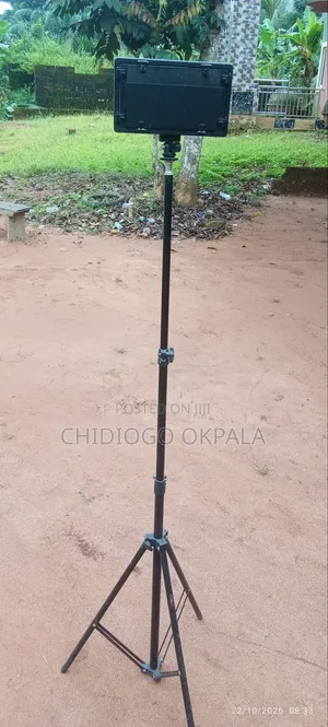 Standing LED Lights