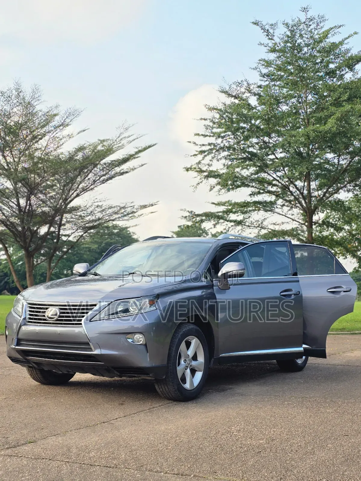 Lexus RX 2015 Gray