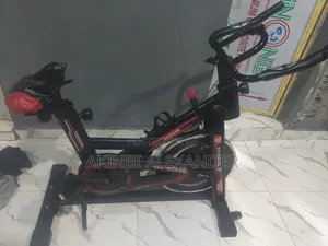 Exercise Spin Bike