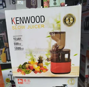 500w Kenwood Slow Juicer