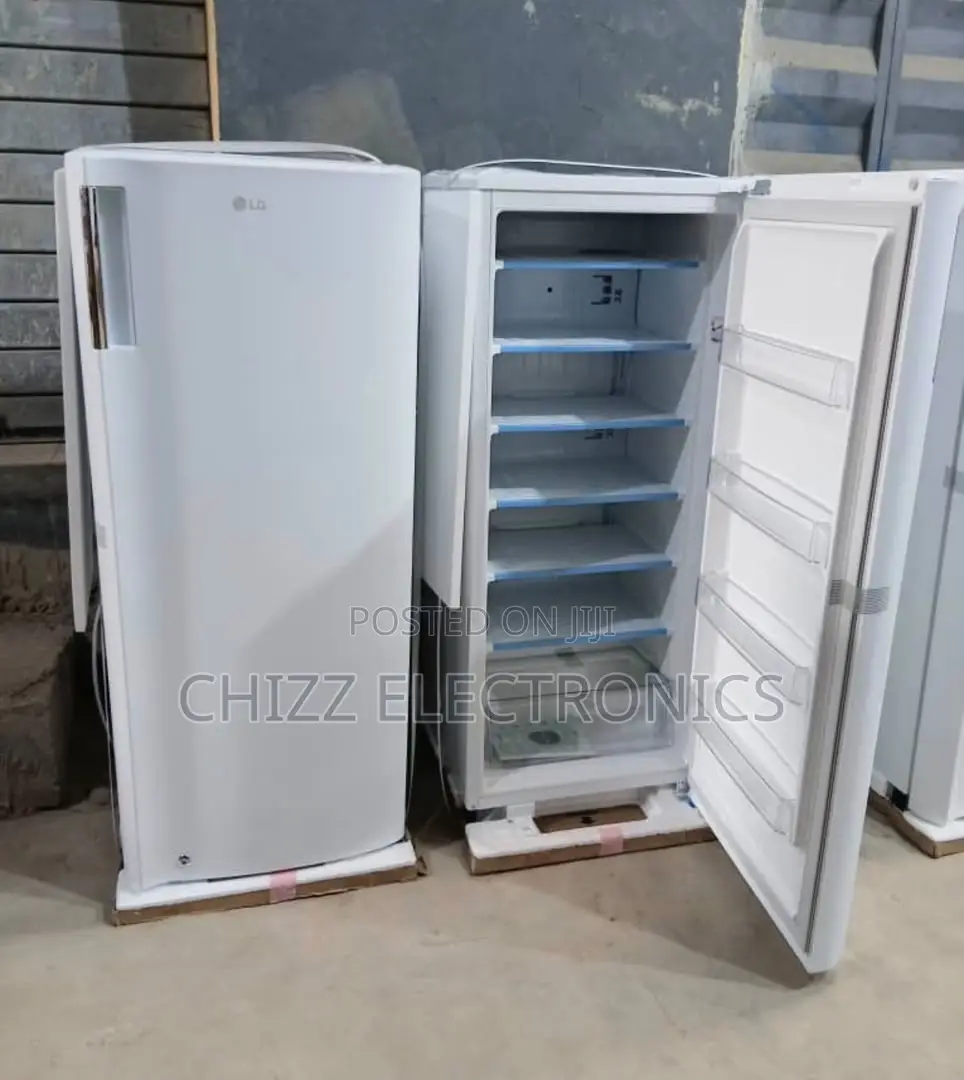 LG Upright Freezer 304