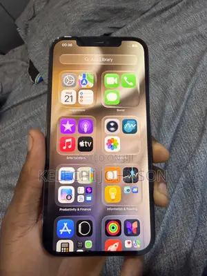 Apple iPhone 12 Pro Max 128 GB Gray