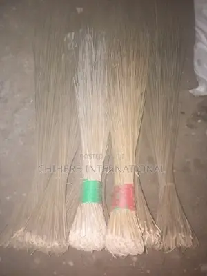 Broom for Sweeping