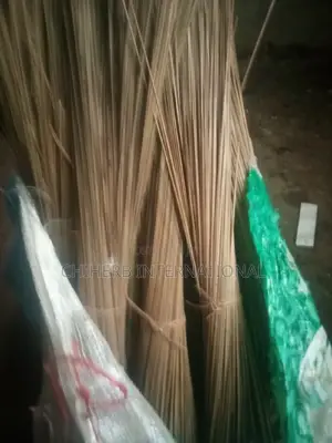 Broom for Sweeping