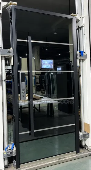 4by7 and 4by8 Luxury Pivot Door With Smart Lock & Built-in Led TV