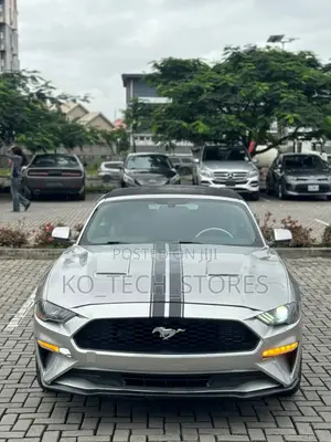 Ford Mustang EcoBoost Premium Convertible 2016 Silver