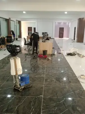 Proffional Cleaners