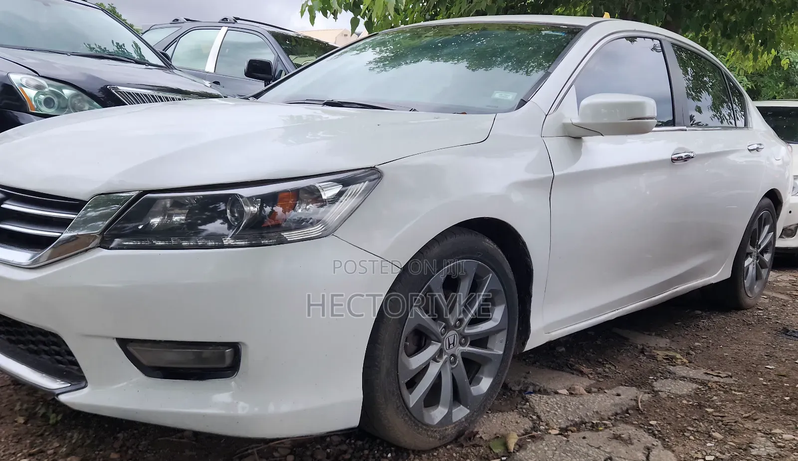 Honda Accord 2014 Beige