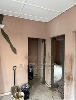 Conversion of Asbestos Ceilings to Modern POP Ceilings