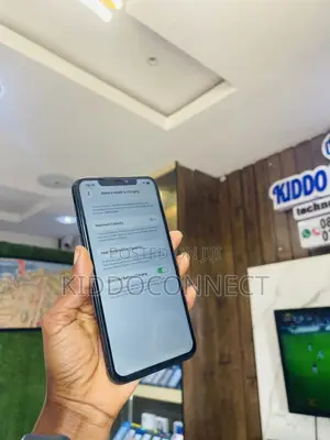 Apple iPhone 11 Pro Max 256 GB Green