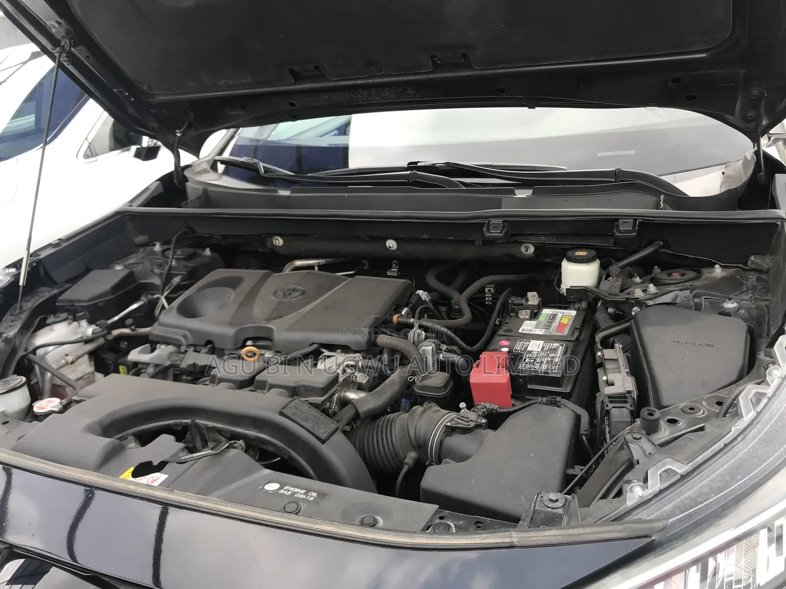 Toyota RAV4 XLE AWD 2020 Black