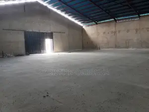Real Estate Surveyor and Valuer
