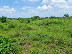 500SQM Land for Sale in Apo Wasa