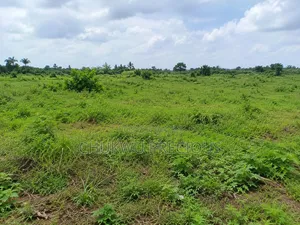 350sqm Land for Sale in the Apo District , Apo Wasa