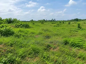 Apo Wasa, Sunrise Manor, 250sqm Land for Sale
