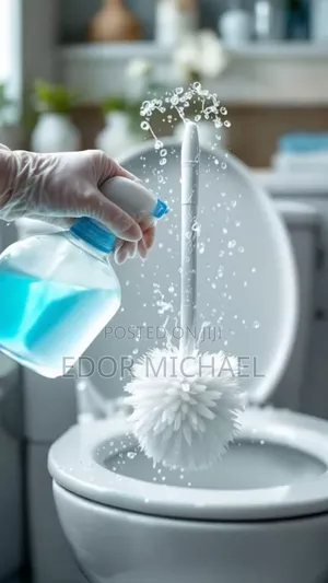 Professional Cleaning and Floor Polishing Techniques, Abuja Wuye