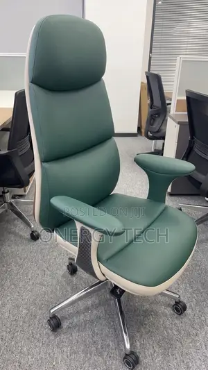Executive High-Back Ergonomic Office Chair