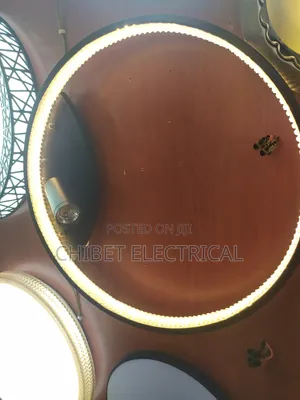 Wall Light With Track Light