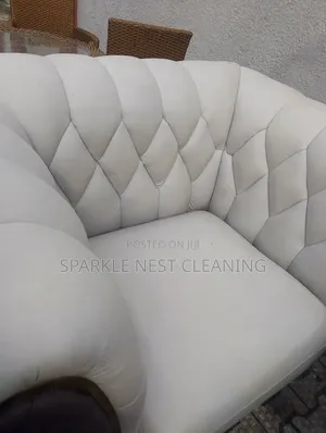 Sparkling Couch Cleaning