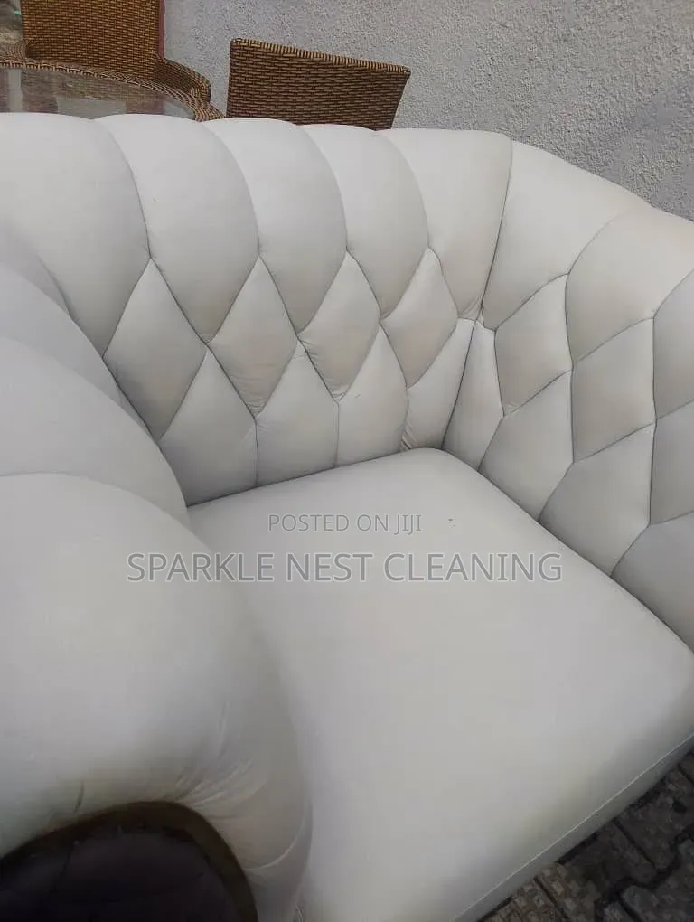 Sparkling Couch Cleaning