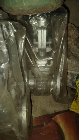 Gate Valve