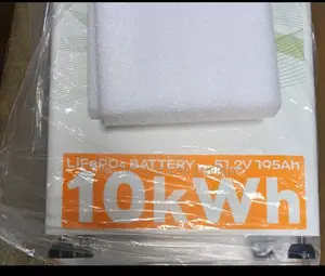Eco Lion 10kwh 48v Lithium Ion Battery