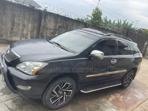 Lexus RX 2008 Gray