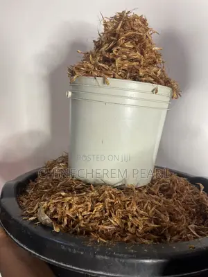 Oron Crayfish and Other Cooking Essentials
