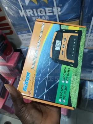 Suder 60ah 24v Battery Charge Controller