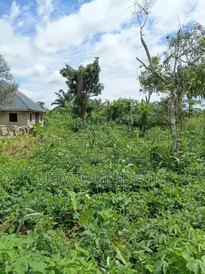 Plot of Land for Sell at Ilado Akure Ondo State Am the Direct Owna
