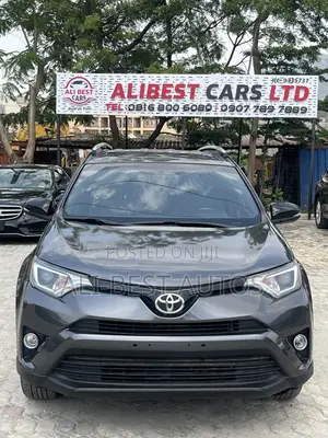Toyota RAV4 LE AWD (2.5L 4cyl 6A) 2016 Gray
