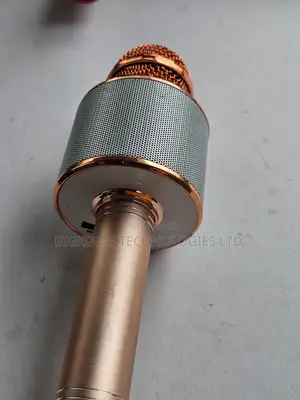 Handheld Wireless Karaoke Microphone and Hi-Fi Speaker