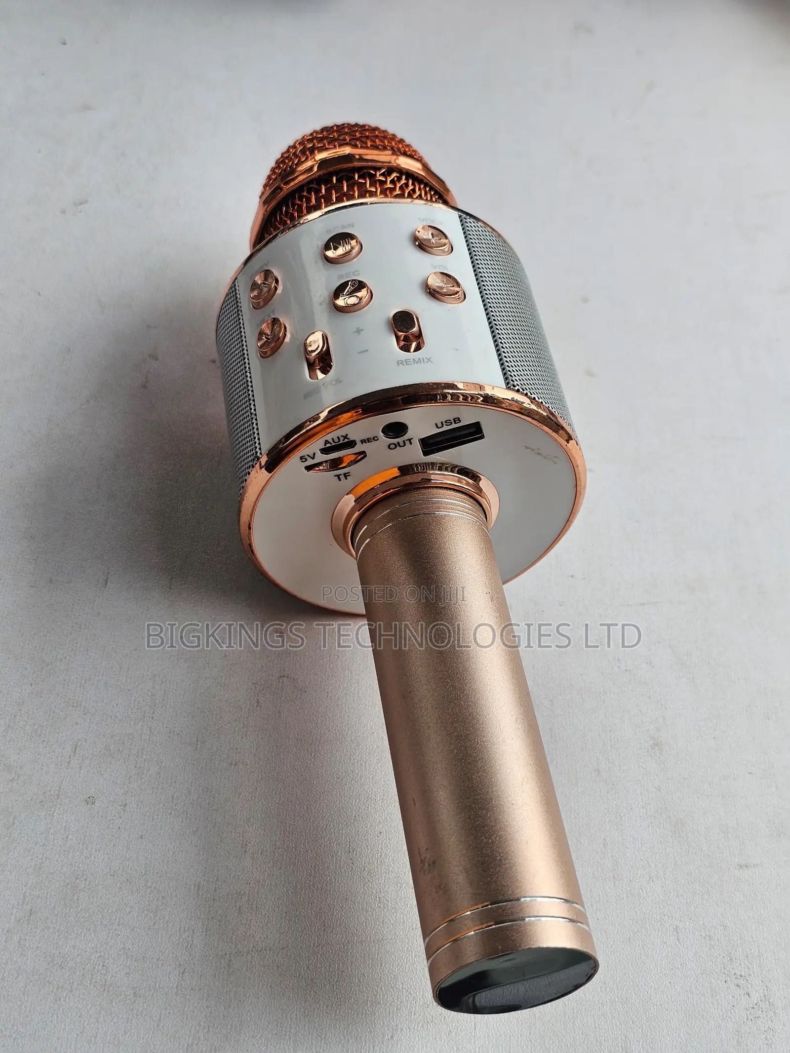 Handheld Wireless Karaoke Microphone and Hi-Fi Speaker