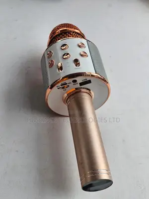 Handheld Wireless Karaoke Microphone and Hi-Fi Speaker