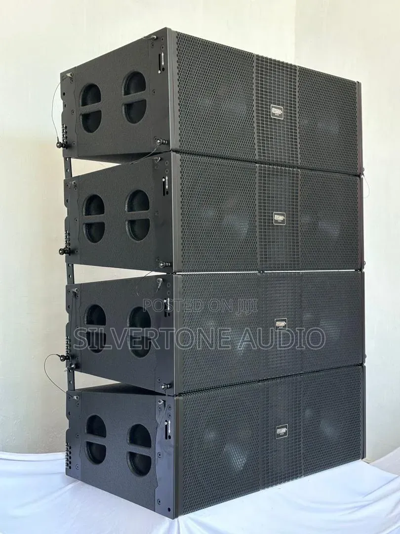 High Quality Titanic USA Line Array Speaker 12 Inches