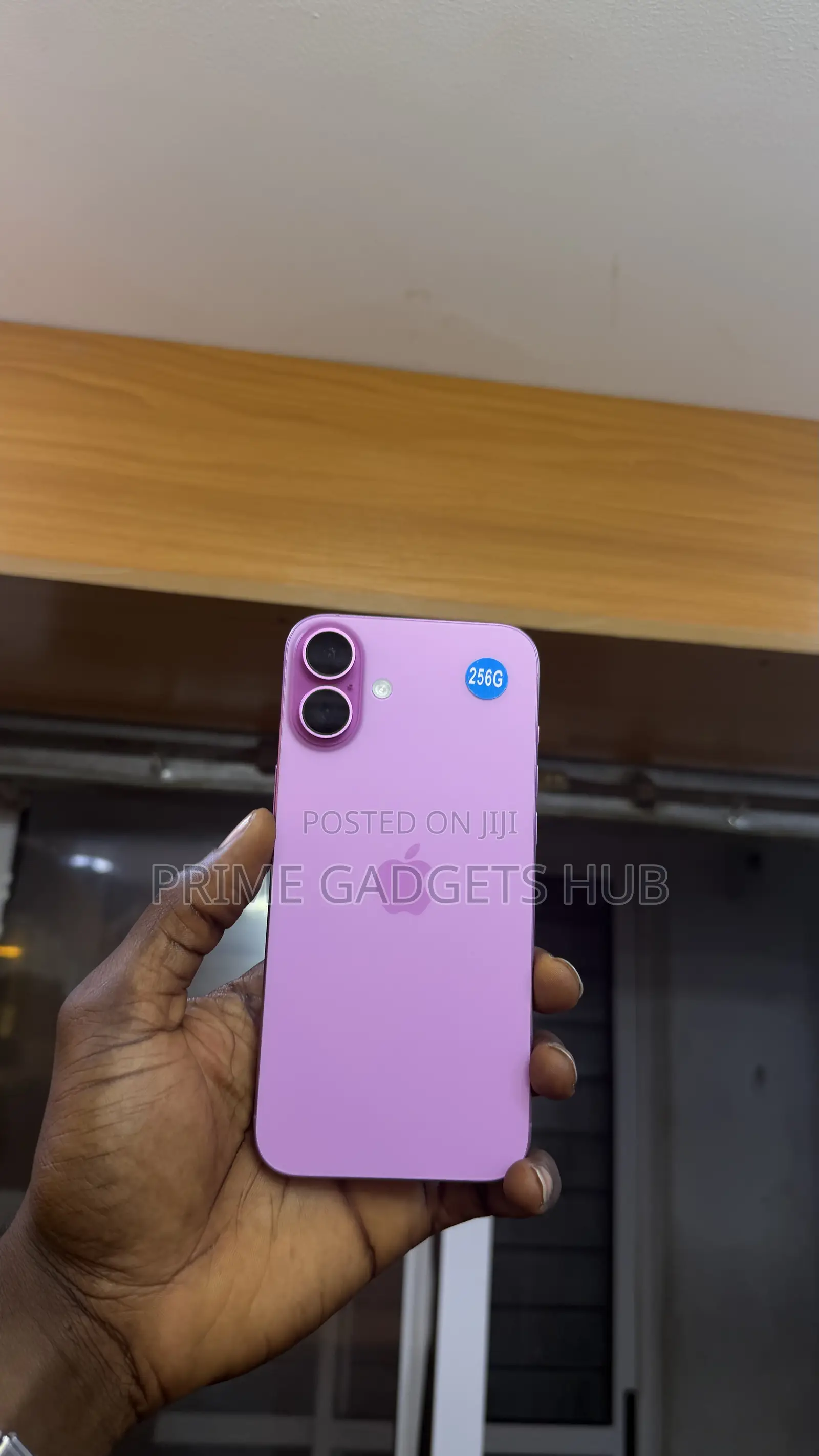 Apple iPhone 16 Plus 256 GB Pink