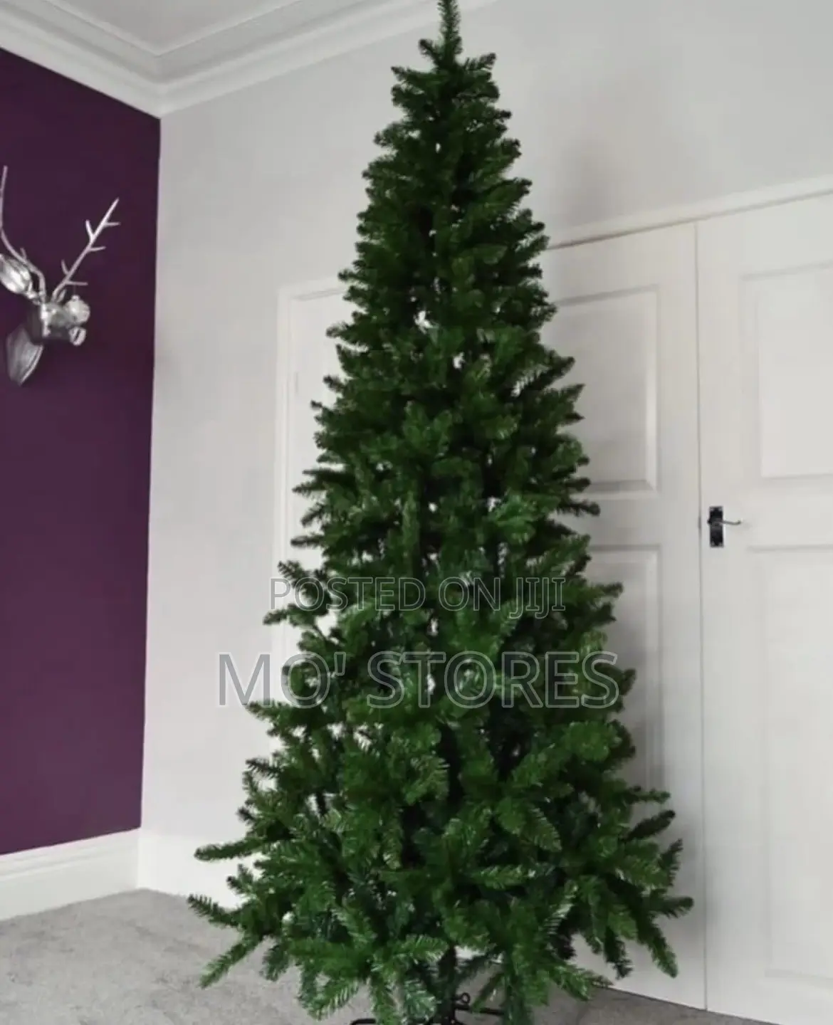 Conventional Green Christmas Tree