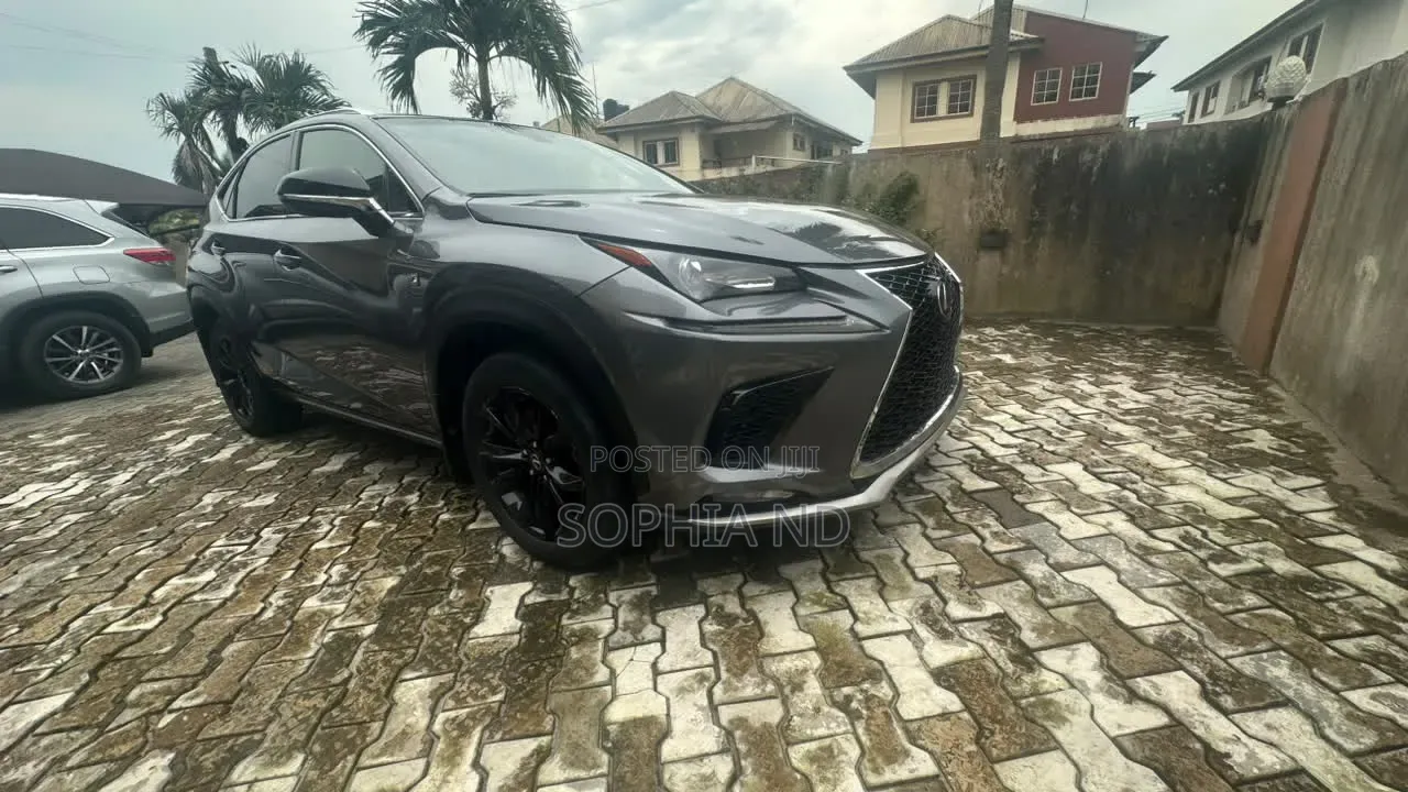 Lexus NX 2017 Gray