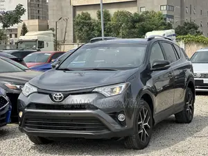 Toyota RAV4 SE AWD (2.5L 4cyl 6A) 2016 Gray
