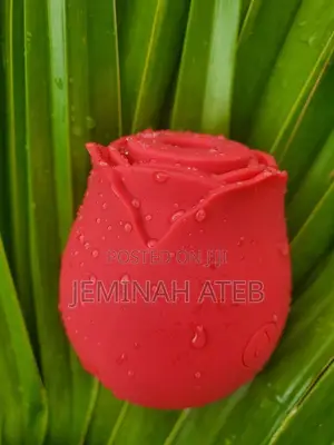 Rose Vibrator