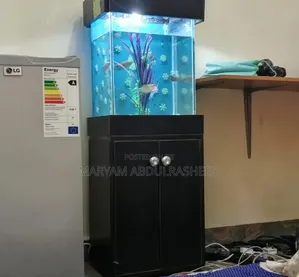Fairly Used Aquarium