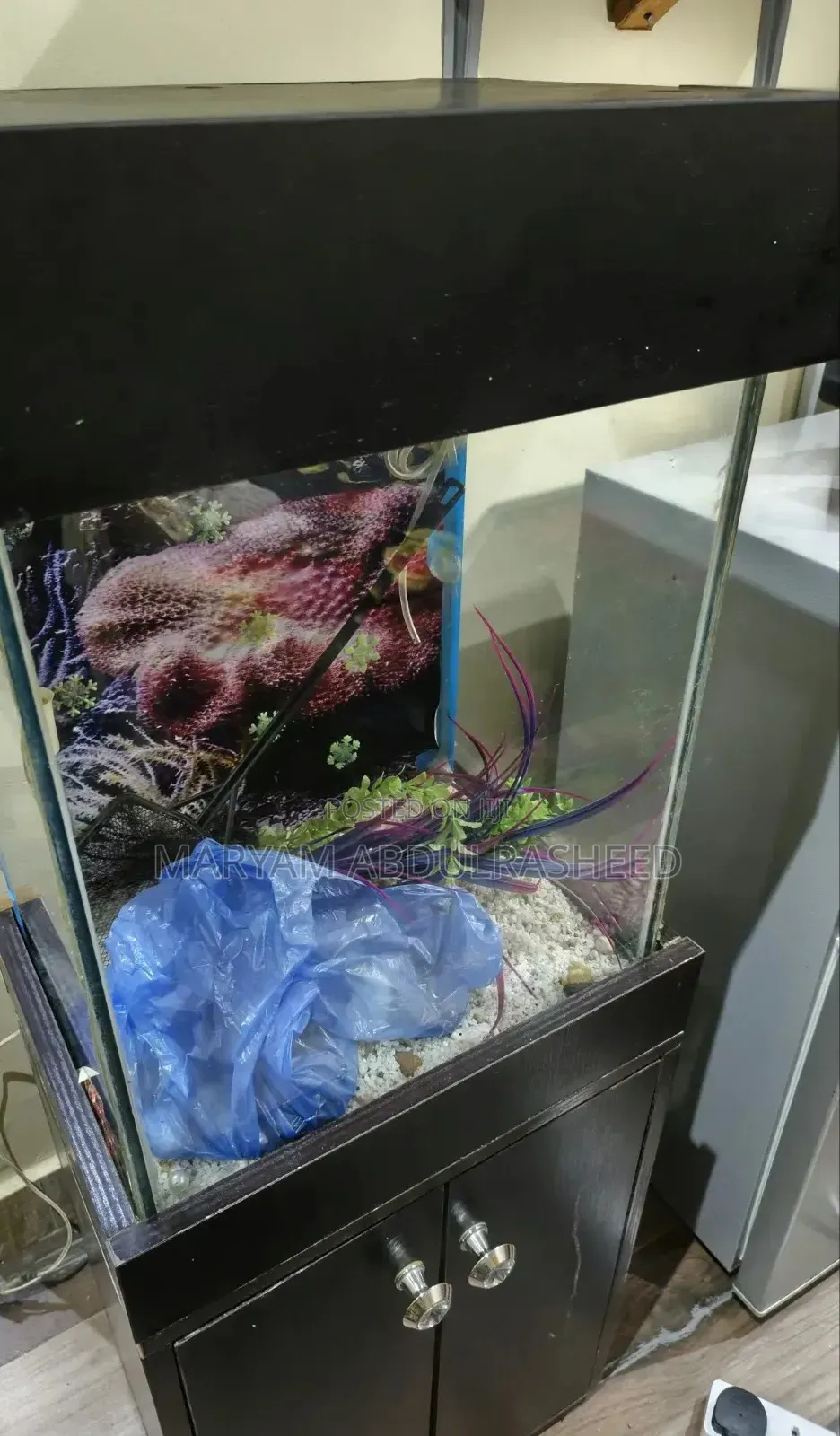 Fairly Used Aquarium